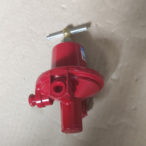 Regulador Neumático REGO 597FA de Alta Presión para Quemadores de Gas Industriales, Calentadores de GLP y Válvulas Reductoras 597F - Product Image 6