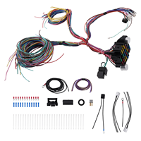 Kit de câblage automobile universel 21 circuits avec boîte à fusibles, panneau de fusibles et faisceau de câblage de châssis pour Hot Rod, Street Rod, voiture