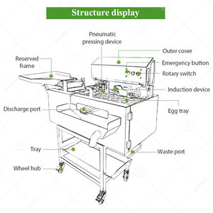 Tuorlo d'uovo automatico e proteine Auto in acciaio inossidabile Cracking Cracker macellatore macchina per viole - Product Image 6