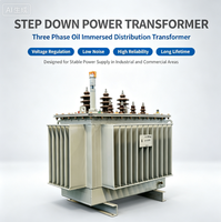 Transformateur abaisseur triphasé haute tension PENGTAI - Immergé dans l'huile - 30 kVA - 2500 kVA - Sortie 480 V - Transformateur haute puissance