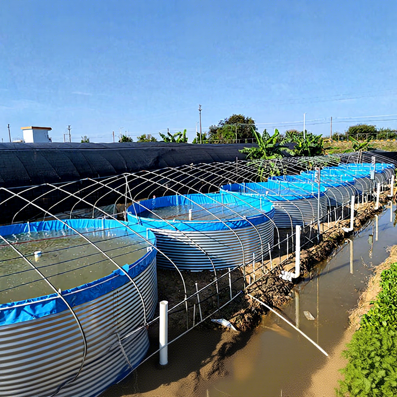 RAS Large Customized PP Fish Pond