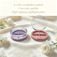 Palette de maquillage vide à 10 grilles avec couvercle transparent et base rose pour fard à paupières personnalisé et cosmétique