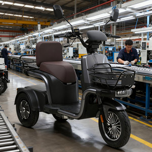 Triciclo de 3 Ruedas con Marco de Acero y 3 Velocidades, el Más Popular para Adultos, Carrocería Abierta, Batería de Plomo-Ácido de 500W - Product Image 1