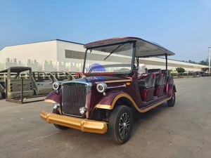 Carrito de Golf Eléctrico Clásico para Turismo, de 2 a 8 Plazas, Batería de Plomo-Ácido de 48V/72V, Motor AC, 50 Km/h, Homologado para Calle, Pequeño - Product Image 5