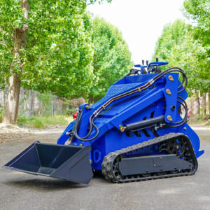 Maquinaria de movimiento de tierras: Minicargadora compacta de alta eficiencia con motor de gasolina EPA y agente de ventas. - Product Image 6