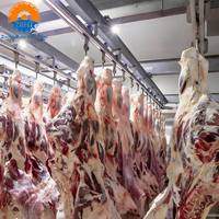 Ligne d'abattage de bétail certifiée CE, projet clé en main, équipement de traitement d'abattoir à grande échelle, abattoir de bovins, garantie 1 an