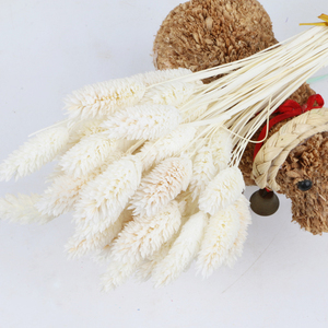 Decoración Boho, Joyería Natural, Flores Secas y Plantas, Hierba de Gemas, <span class=keywords><strong>Phalaris</strong></span>, para Regalo del Día de la Madre, Ramo de Flores - Product Image 2