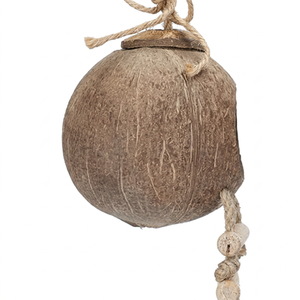Coco Shell Pet House – Unique Handmade Natural Hideaway for Small Pets & <b>Garden</b> Wildlife Eco2go Vietnam - Product Image 1