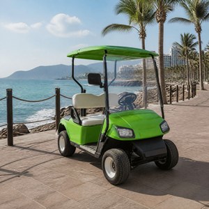 <span class=keywords><strong>Voiture</strong></span> de golf électrique Tarion 2 places, batterie lithium 72V, capacité de montée de 25%, moteur AC, personnalisable OEM, 30-50 km/h, autonomie de 90 km, certifiée CE - Product Image 1