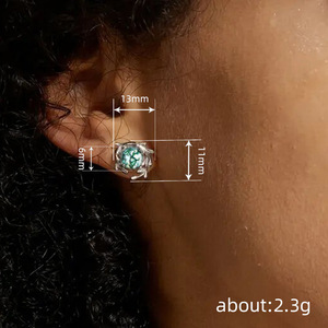 Orecchini a Perno con Muschio Verde per Donne, Stile Naturale, Accessori per Orecchie da Indossare Quotidianamente - Product Image 4