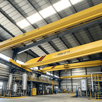 Pont roulant monopoutre électrique à commande sans fil, à faible hauteur de levage, 4 tonnes, pour ligne de production de composants automobiles, direct usine