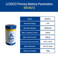 Batterie Li-SOCl2 D ER34615 3.6V 19000mAh à longue durée de vie, faible autodécharge pour la sauvegarde de la mémoire et les dispositifs de sécurité