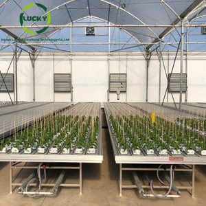 Serra idroponica agricola riflusso tavolo semenzaio vivaio attrezzatura mobile coltivare tavolo - Product Image 5