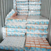 Couches jetables pour adultes ABDL, film PE OEM, protection 3D anti-fuites, surface sèche, super absorbantes, imprimées, pour l'incontinence