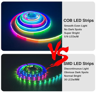 Bande lumineuse LED RGB adressable Raymates avec garantie de 3 ans, SPI RGB IC WS2811, 720 LED/m, DC24V, 12 mm, SPI RGB IC, CE ROHS
