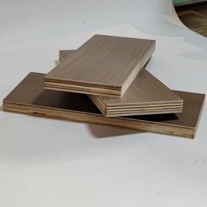 E01 Hochwertiges Weißkiefer-Furnier Umweltfreundliches E1 Modernes Kommerzielles Sperrholz Dekoratives Panel - Product Image 4