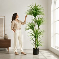 Dracaena marginata artificielle 120-210 cm, arbre du dragon multi-troncs en pot pour la décoration intérieure et extérieure, maison, bureau
