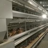 Vente directe usine : Nouveau système d'élevage automatique de type H, cages en batterie pour poulets pondeuses, galvanisées à chaud