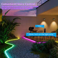 Светодиодная неоновая лента Gouly Colorful Light Strip Address LED Domed Neon Flex SMD 5050, 12В