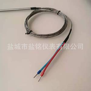 Salt Inscription J Type Thermocouple Probe Wrf 191 Wire Leads Temperature Sensor Yancheng Origin - Product Image 2