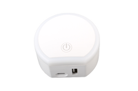 Veilleuse LED moderne de haute qualité à brancher, petite, en fibre optique acrylique avec chargeur USB et port Type C
