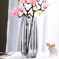 Vase en verre côtelé vertical multicolore, minimaliste, transparent, écologique, pour culture hydroponique, décoration de table