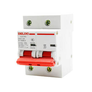 Disjoncteur principal monophasé haute puissance Delixi 2P 220V DZ47-125 pour usage domestique - Product Image 1