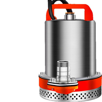 Pompe à eau submersible électrique 12V 48V à batterie, haute puissance 1,5 CV, en acier inoxydable, pour l'irrigation agricole