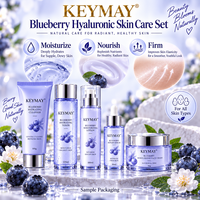 Set Perawatan Kulit Asam Hialuronat Blueberry Korea Niacinamide Melembapkan Mengencangkan Label Pribadi OEM ODM Produsen Grosir