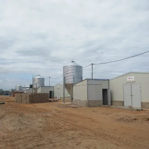 Chi phí thấp hiện đại Thiết kế kết cấu thép tiền chế thương mại đổ cho xây dựng nhà xưởng trang trại - Product Image 3