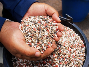 Fertilizante Compuesto Agrícola NPK 12-11-18 con Alto Contenido de Fósforo, Promueve el Crecimiento de Raíces y Floración, para Cítricos, Granadas, Vegetales de Invernadero - Product Image 4