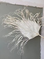 2025 Wabi Sabi Style fleurs séchées naturelles fibres de feuilles de palmier séchées pour vitrine mariage fête des mères décor vraies fleurs