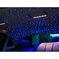 Plafonnier LED RVBW à double port 9555-D2 avec fibres optiques, effet ciel étoilé pour toit de voiture, lumière d'ambiance ciel étoilé