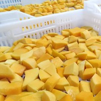 Groothandelsprijs Iqf Bevroren Mango Dobbelstenen Kubus In Bulk Verpakt Vers Gesneden Fruit