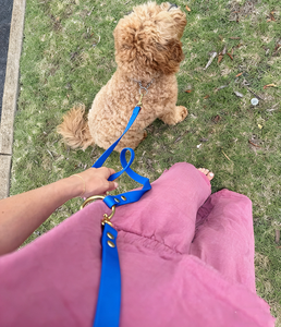 Correa para Perro de PVC con Manos Libres, Personalizable en Color y Herrajes, Fabricante de Correas Cruzadas - Product Image 4