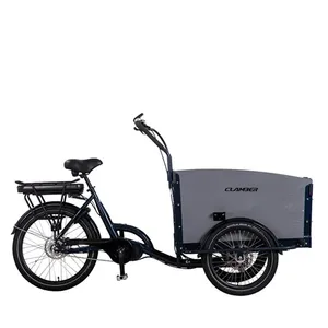 EU 주식화물 자전거 3 륜 가족 배달화물 트라이크 전기 전자화물 삼륜차 성인 전동 자전거