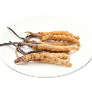 Estratto di <span class=keywords><strong>Cordyceps</strong></span> Sinensis Biologico in Polvere per Alimenti, Integratore con Varietà di Aloe Vera, Ingrediente Attivo Vitaminico, Confezione in Fusto, Anhui - Product Image 3