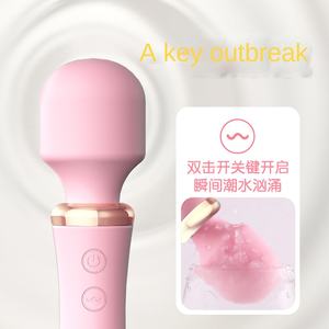 Laile Vrouwen Verwarming Vibrator Tweede Tij Av Stick Fairy Stick Volwassen Seksproducten Groothandel - Product Image 2