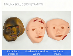Simulador Multifuncional de Heridas y Traumatismos Humanos de 43 Módulos para Ciencias Médicas, Modelo de Cuidado Personal para Educación de Enfermería, Maniquí con Certificación CE/ISO - Product Image 3