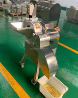 Automatische Commerciële Mango Kubus Snijden Snijmachine Auto Industriële Apple Ananas Dobbelsteen Snijder Apparatuur Voor Verkoop