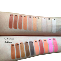 Palette de maquillage végane multi-usages : fard à joues, illuminateur, poudre compacte, contour et bronzer, marque privée