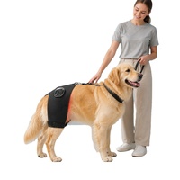 Attelle de Rééducation Pelvienne Canine Réglable en Tissu Doux avec Fermeture Auto-agrippante et Thérapie par Lumière Rouge Portable – Vente en Gros