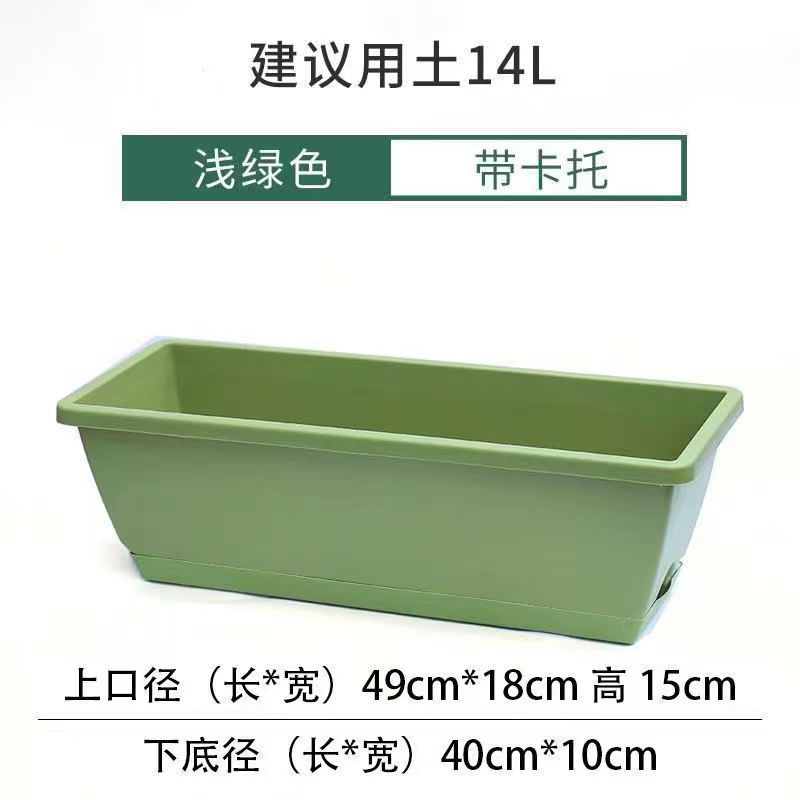 Grand format, vert fruit, 50*15 cm, avec plateau
