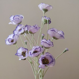 <span class=keywords><strong>Fleurs</strong></span> artificielles de pavot réalistes de haute qualité à 5 têtes avec flocage pour la décoration de mariage, <span class=keywords><strong>fleurs</strong></span> artificielles pour hôtel - Product Image 5