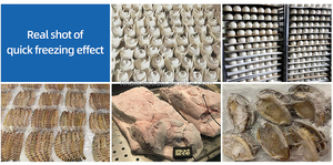 ตู้แช่แข็งแบบรถเข็นประตูเดียวสำหรับเชิงพาณิชย์ 15 ถาด ระบบฟรอสต์ฟรี สำหรับอาหาร เครื่องดื่ม ธัญพืช ผลิตภัณฑ์อุตสาหกรรม เครื่องจักร - Product Image 5