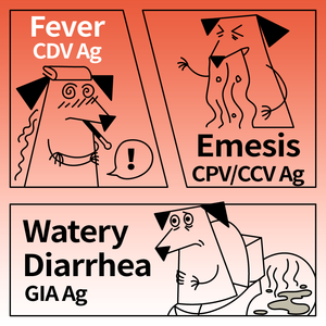 Strisce Reattive per Test Canino CDV/CPV/CCV/GIA, Kit Rapido per Antigene del Virus della Cane Distemper/Parvovirus/Coronavirus/<span class=keywords><strong>Giardia</strong></span> - Product Image 2