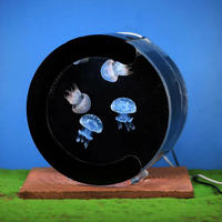 Aquarium autoportant en verre au design contemporain, accessoires de décoration pour la maison, éclairage de chambre, différentes tailles