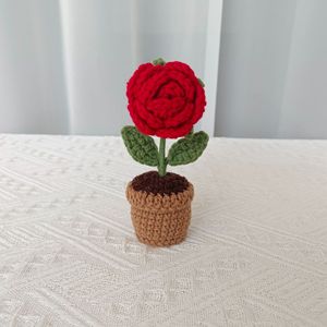 Vaso per Piante Mini in Crochet 2026, Decorazione Floreale, Regalo Creativo, Ornamento Compatto Adorabile - Product Image 6