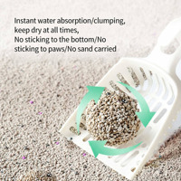 Ecologisch verantwoorde PETRICO BT006 Bentonite kattenbakvulling 5kg Snelklonterend Zeer absorberend Laag stofgehalte Sferisch Stofvrij OEM Groothandel