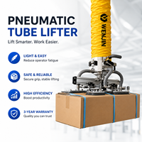 Lève-tubes pneumatique industriel Wenjin pour la manutention de cartons avec garantie de 3 ans, systèmes de levage ergonomiques